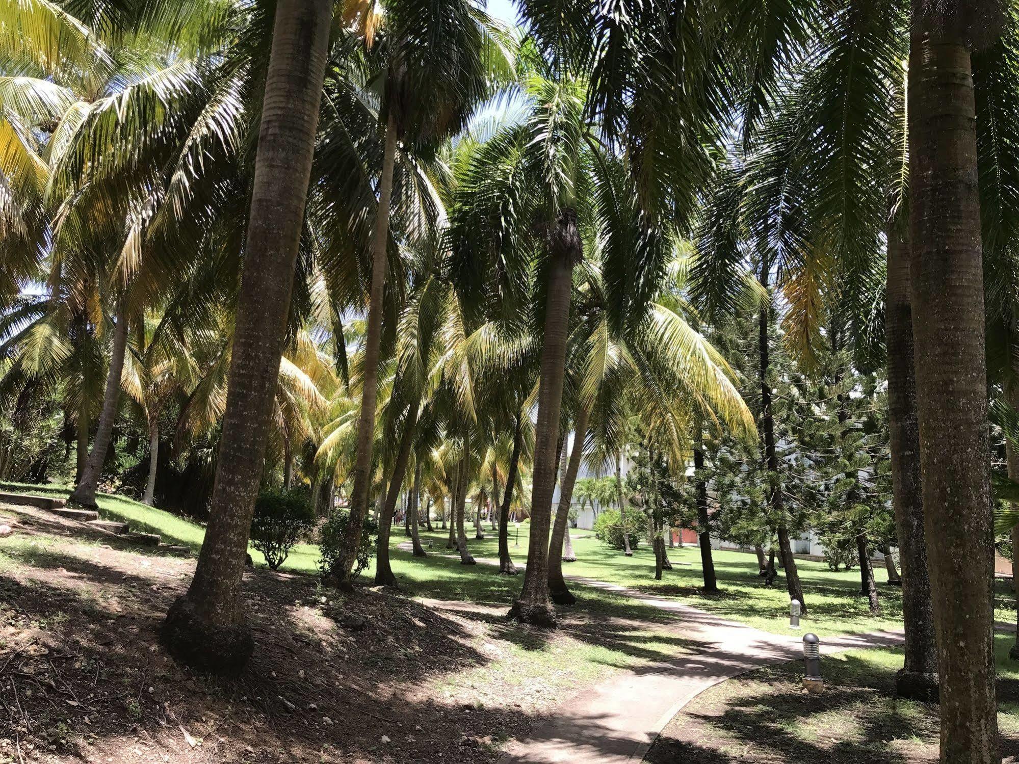 Ti.Maanga Vue Mer Pieds Dans L'Eau Saint-Francois  Ngoại thất bức ảnh